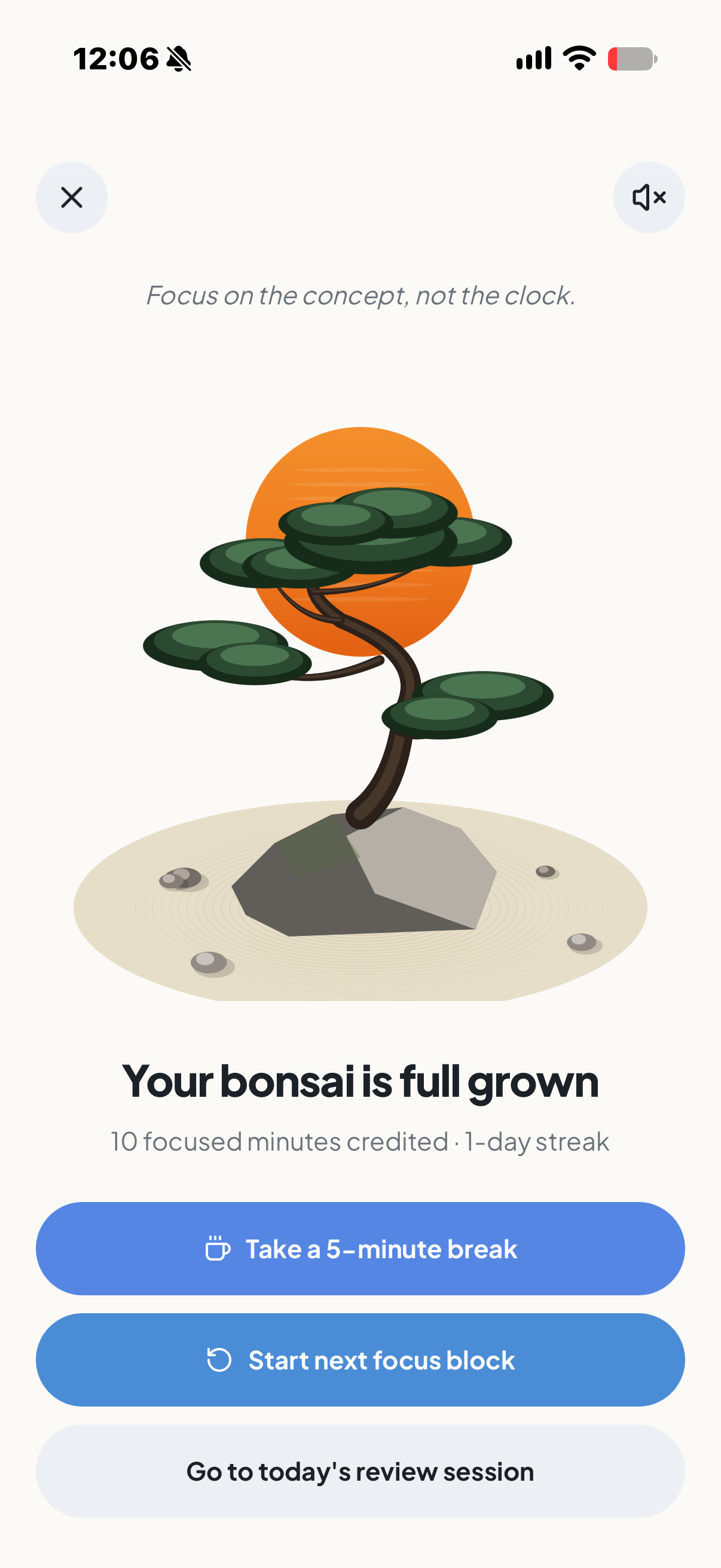 Integrade fully grown bonsai after a completed focus block